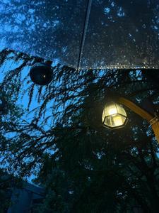 圣诞诡异录 圣诞诡异录