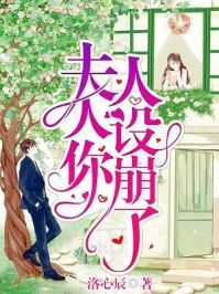 夫人你人设崩了洛心辰 夫人你人设崩了洛心辰